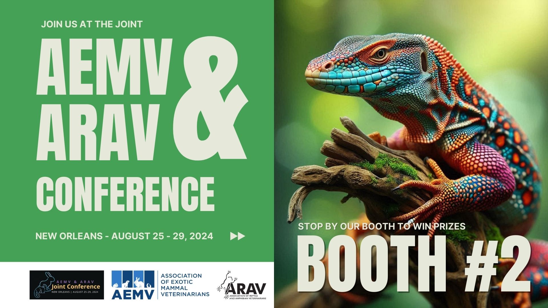 AEMV ARAV Join Conference