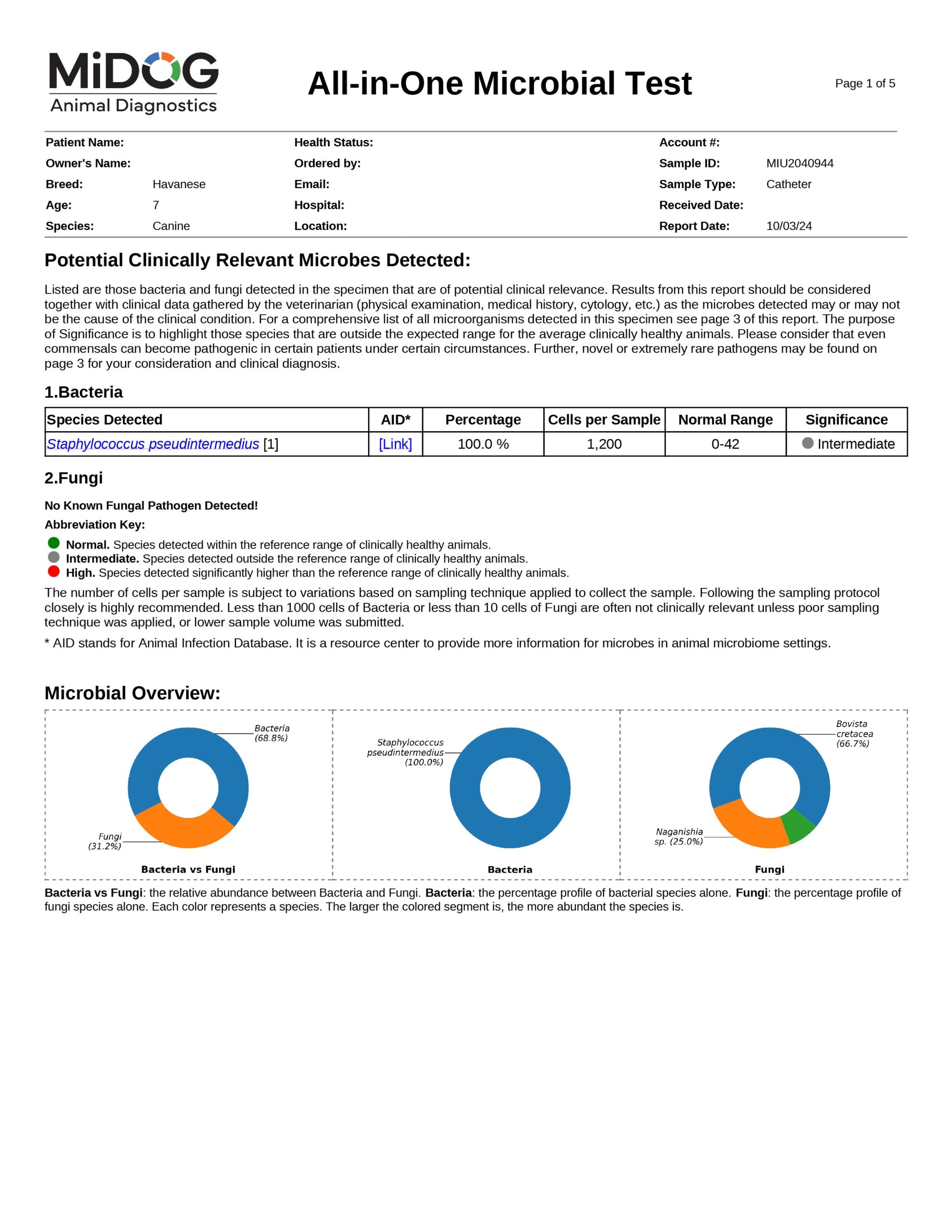 Canine Urine Example Report-01